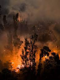 Immagine Termine periodo ad alto rischio di incendio boschivo per la stagione invernale - primaverile 2023